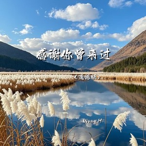 感谢你曾来过 (遗憾版)封面
