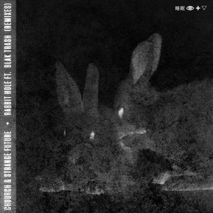 Rabbit Hole (Cloverdale Remix)