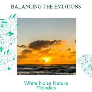 Balancing The Emotions - White Noise Nature Melodies