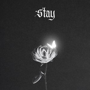 Stay