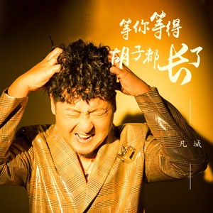 凡城 - 等你等得胡子都长了