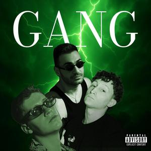 GANG (feat. DR.MAX & WHILL) (Explicit)