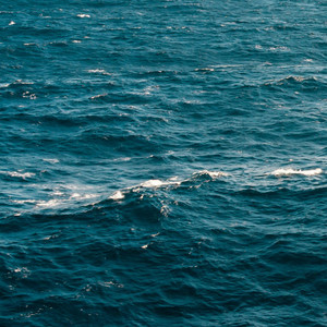 En Un Lugar Dentro Del Mar