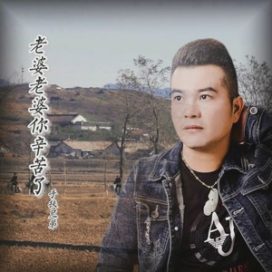 老婆老婆你辛苦了