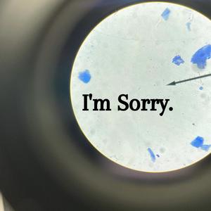 I'm Sorry.