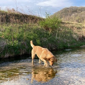 Moonlight (feat. Trickshot Johnson)