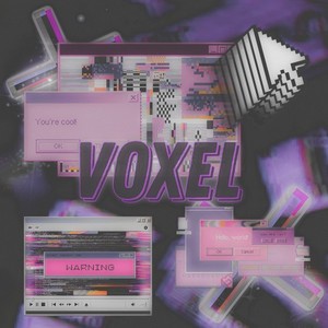 Voxel (Explicit)