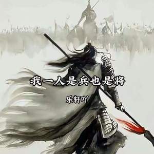 我一人是兵也是将