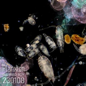 230108 Plankton