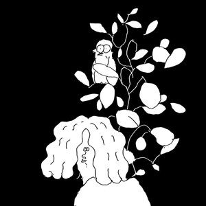 Never Used To Be Like That