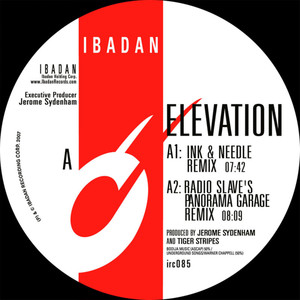 Elevation (Radio Slaves One More Kiss Remix|Version 3)