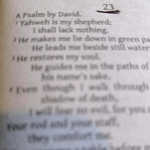 Psalms (Like David)