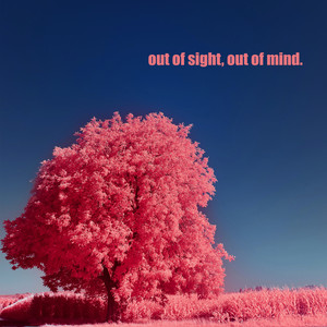 Out of Sight, out of Mind