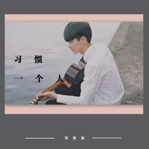 习惯一个人