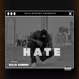 NO HATE (Explicit)