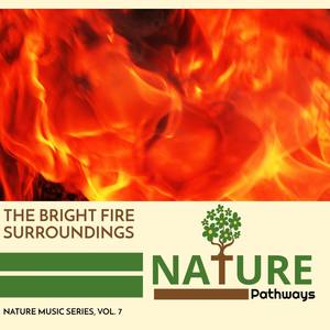 The Bright Fire Surroundings - Nature Music Series, Vol. 7