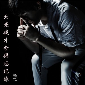 天亮我才舍得忘记你