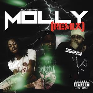 Molly (feat. Danothekidd & Xer00) [Remix] [Explicit]