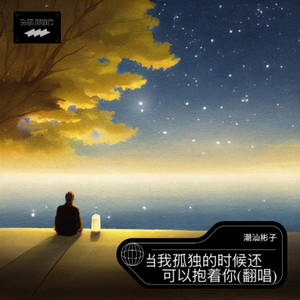 当我孤独的时候还可以抱着你