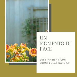 Un momento di pace: Soft ambient con suoni della natura per momenti di totale relax, massaggio e rilassamento