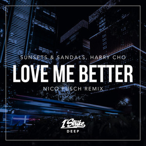 Love Me Better (Nico Pusch Remix)