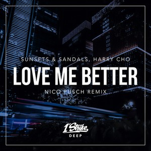 Love Me Better (Nico Pusch Remix)