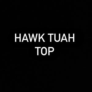 HAWK TUAH TOP