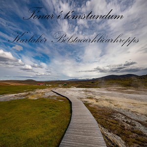 Grettir Á Arnavatnsheiði