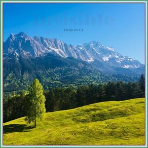 Invisible (feat. IN-Q)