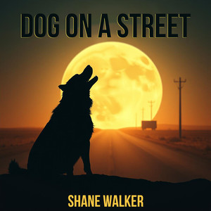 Dog on a Street