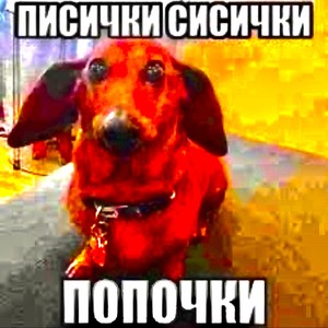 писички сисички попочки (Explicit)