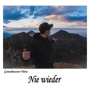 Nie wieder (Explicit)