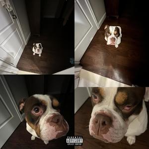 austin powers (Explicit)