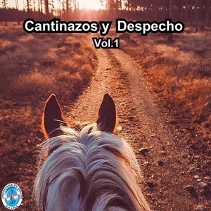 Cantinazos y Despecho, Vol.1