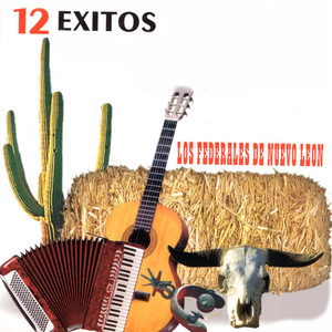 12 Exitos