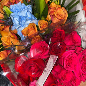 Whatever u want (Explicit)