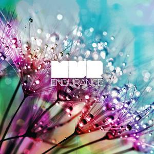 Endurance