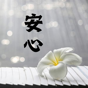 安心 - 最后的飞行