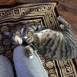 i think im annoying (Acoustic)