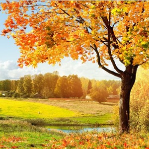 远方的召唤 (纯音乐)