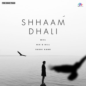 Shhaam Dhali