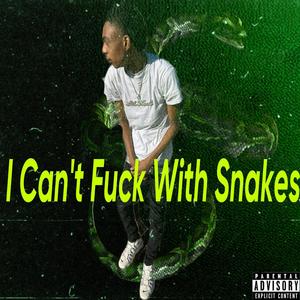 I Can't **** With Snakes (Explicit)