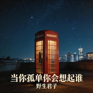 当你孤单你会想起谁-野生君子