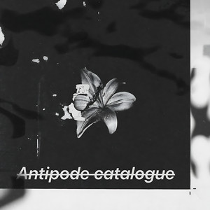 Antipode Catalogue 2