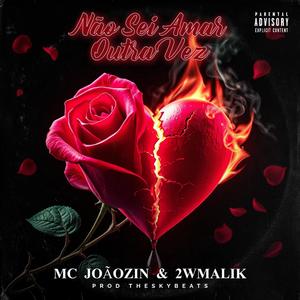 MC Joãozin - Não Sei Amar Outra Vez (feat. 2WMALIK) (Explicit)
