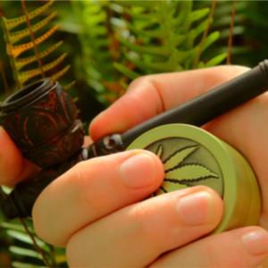 Hye Piper (Explicit)