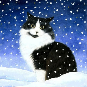 爱要拐几个弯才来