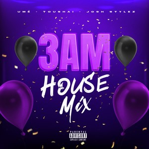 3 AM (House Mix) (feat. Toushai) [Josh Stylez Remix]