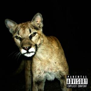 Body Bags (love hurts) (Explicit)