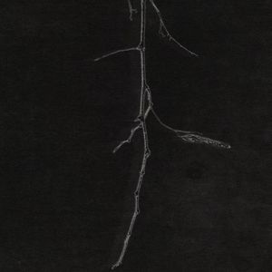 你的承诺又给别人（Faded Light）